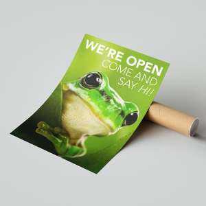 205gsm Indoor Posters