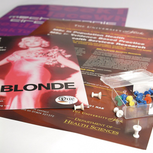 250gsm Matt Laminated Litho Posters