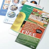Silk Premium Saver Leaflets