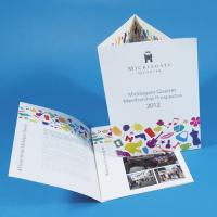 NEW!130gsm Silk Folded Leaflets