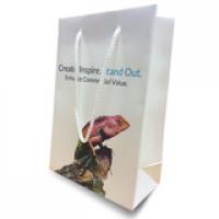 Classic Rope Handle Paper Bags