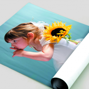 180gsm Uncoated Posters 