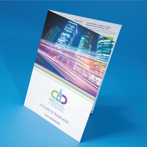 Folded Leaflets Professional