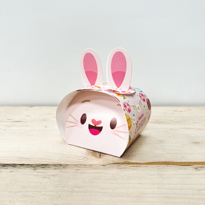 Coated Branded Gift Boxes