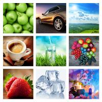 Car Air Freshener Samples