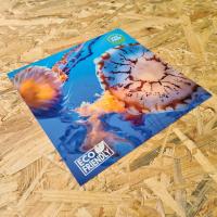 Easy Install Vinyl