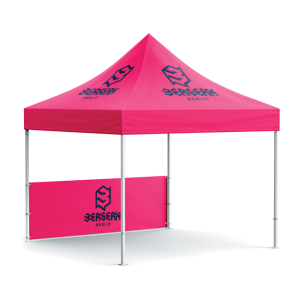 Gazebo frame and canopy