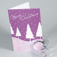 350gsm Matt Laminated Christmas Cards