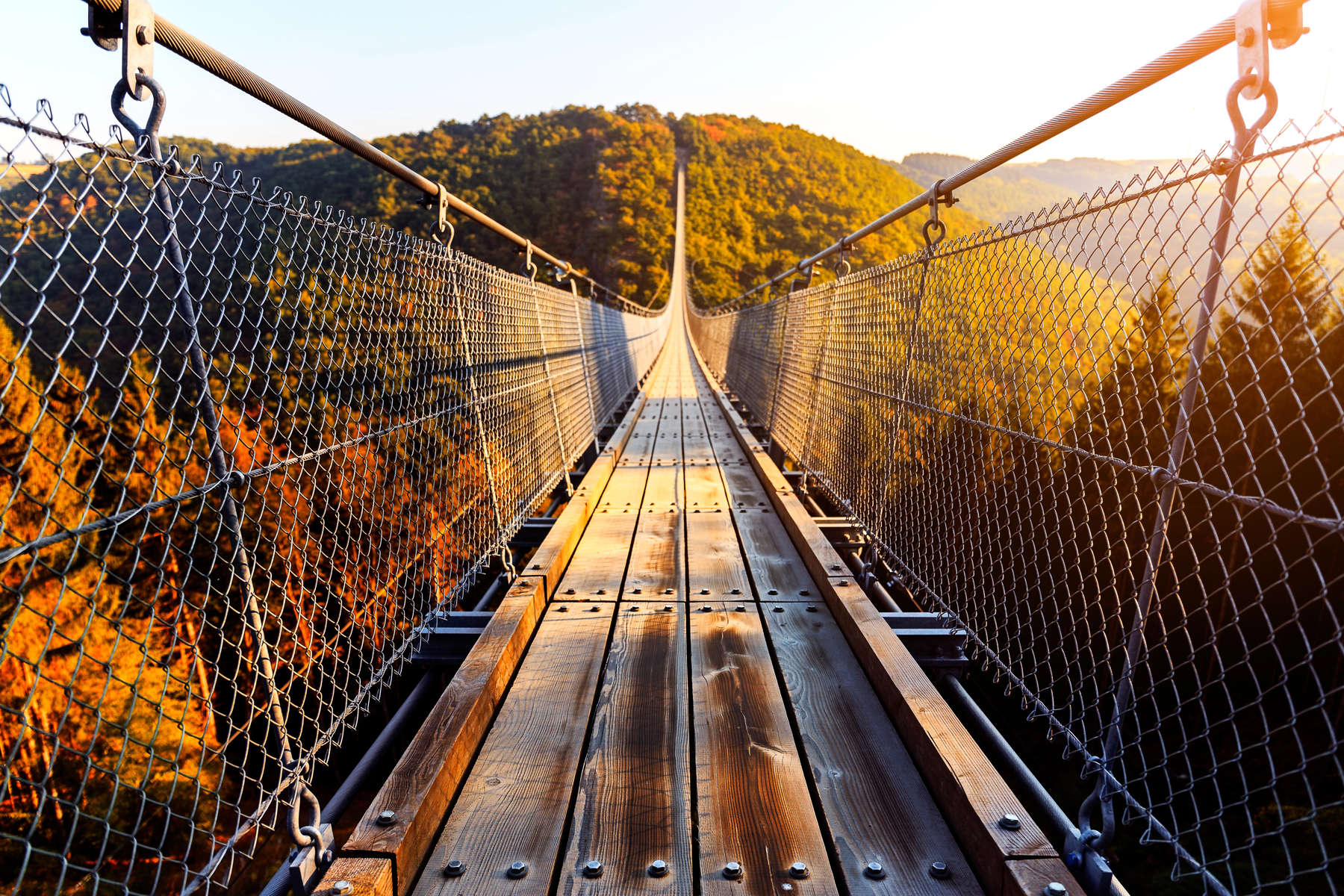 Hanging rope bridge Geierlay