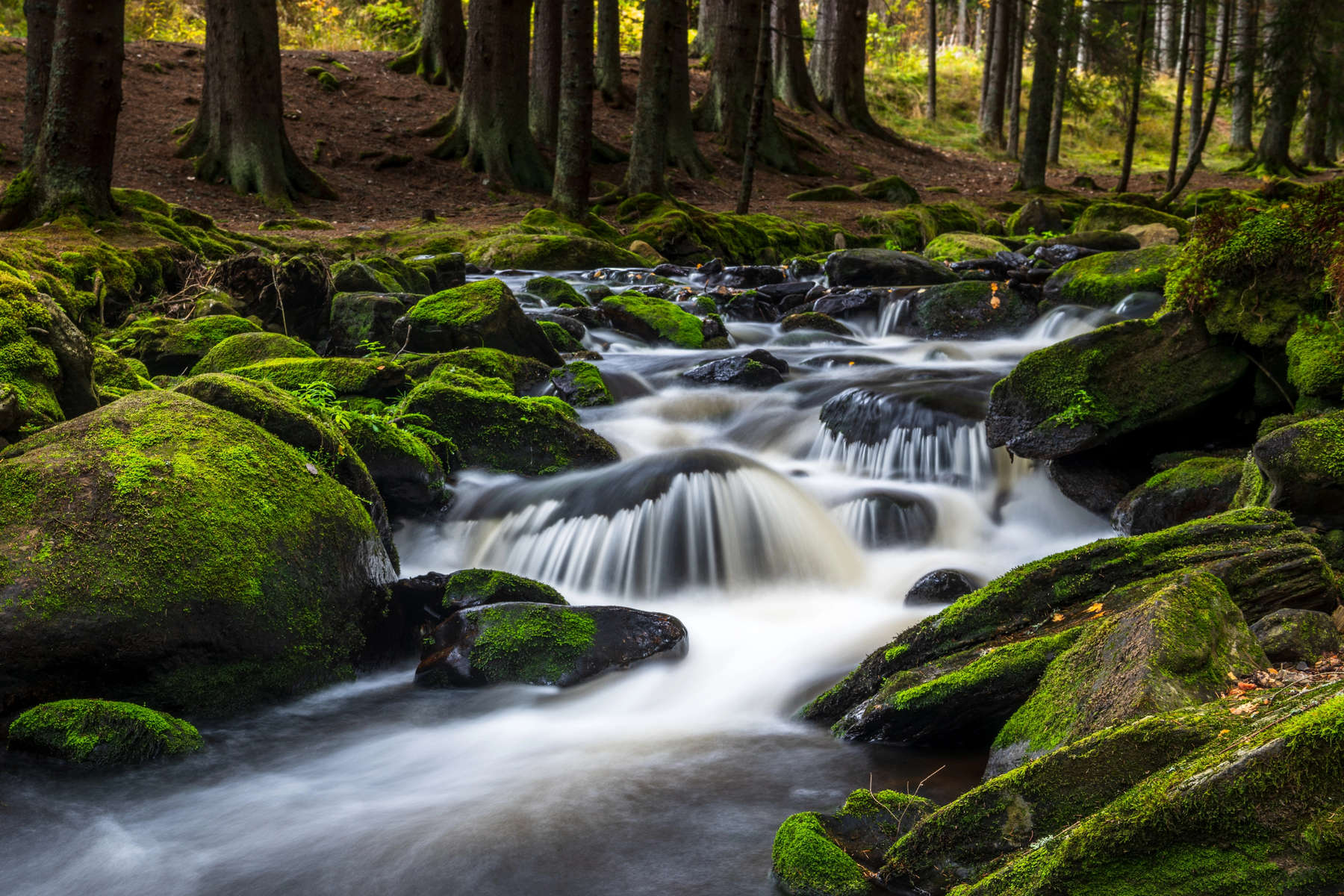 Beautiful landscape of the Czech Republic area of the Sumava National Park.