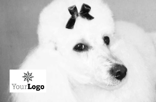 Animals Business Card  by Keira Douglas