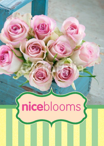 Garden Maintenance A5 Flyers by Tony Elmore