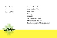 Beauty Salon Business Card  by Templatecloud