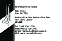 Hair Business Card  by Templatecloud
