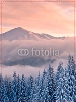 Photo Upload 8x12" with premium frame Photo Canvas by Templatecloud 