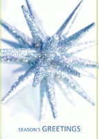  Edit & Go: Regular (Folds to A6) Christmas Cards by Templatecloud 