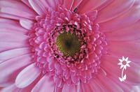 Salon Business Card  by Templatecloud