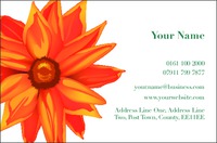 Garden Maintenance Business Card  by Templatecloud 