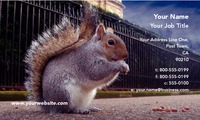 Animals 2" x 3.5" Business Cards by Templatecloud 