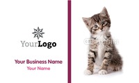 Animals 2" x 3.5" Business Cards by Templatecloud 