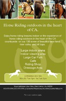 Horse Riding 5.5" x 8.5" Flyers by Templatecloud